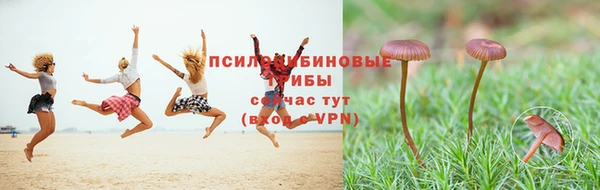 мяу мяу мука Арсеньев