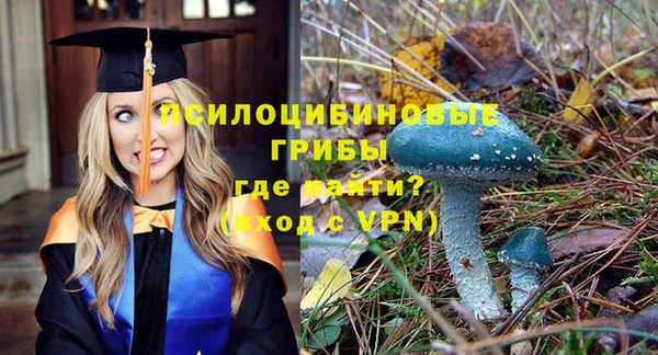 винт Аркадак