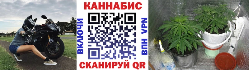 где найти наркотики  Усть-Кут  Каннабис MAZAR 